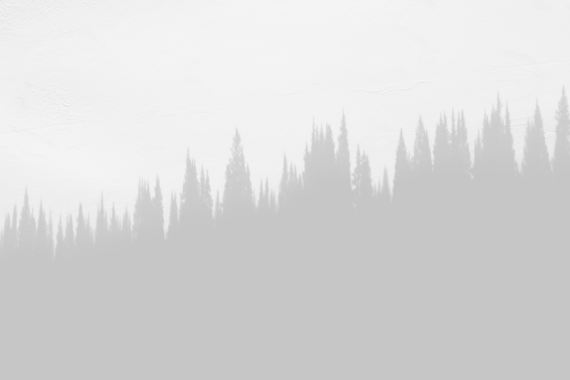 Wireframe placeholder - Royal Casino Company